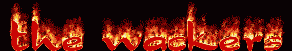 dwak.gif (18901 bytes)