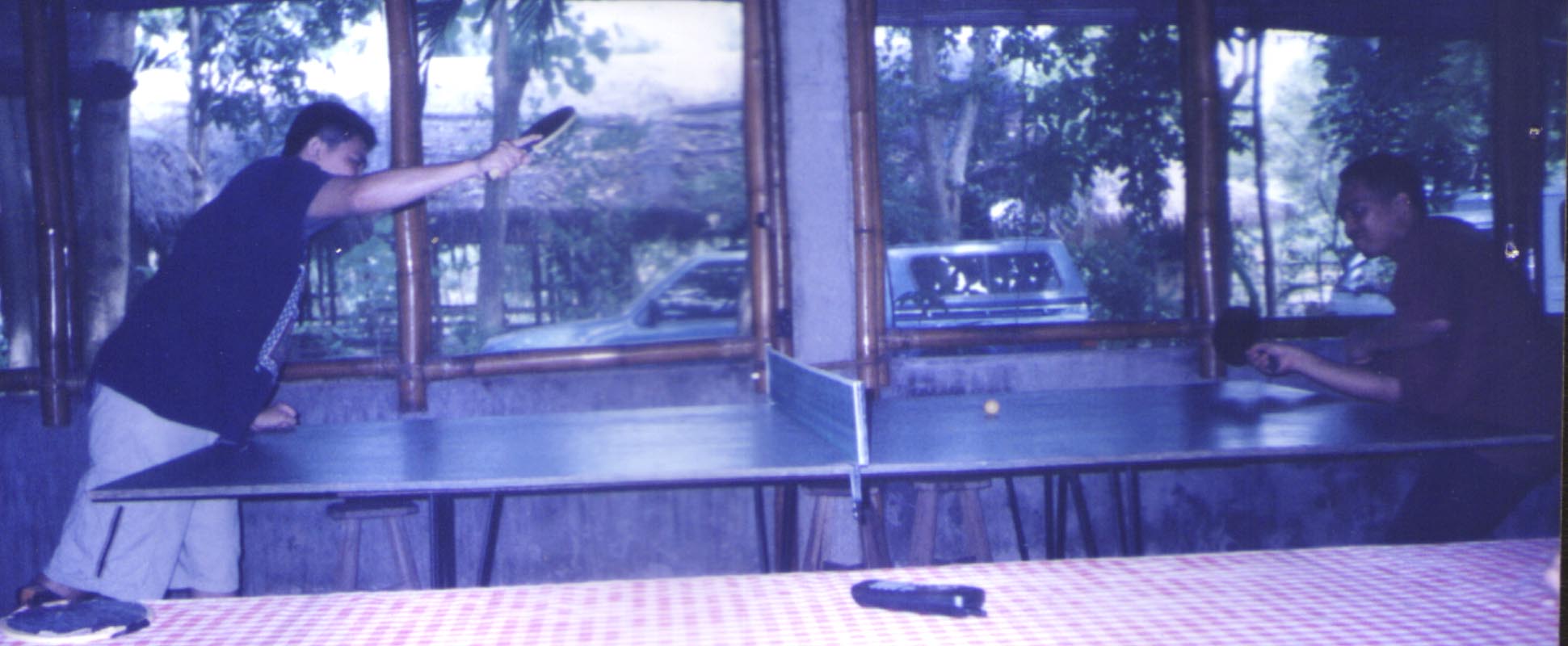 pingpong.jpg (158849 bytes)